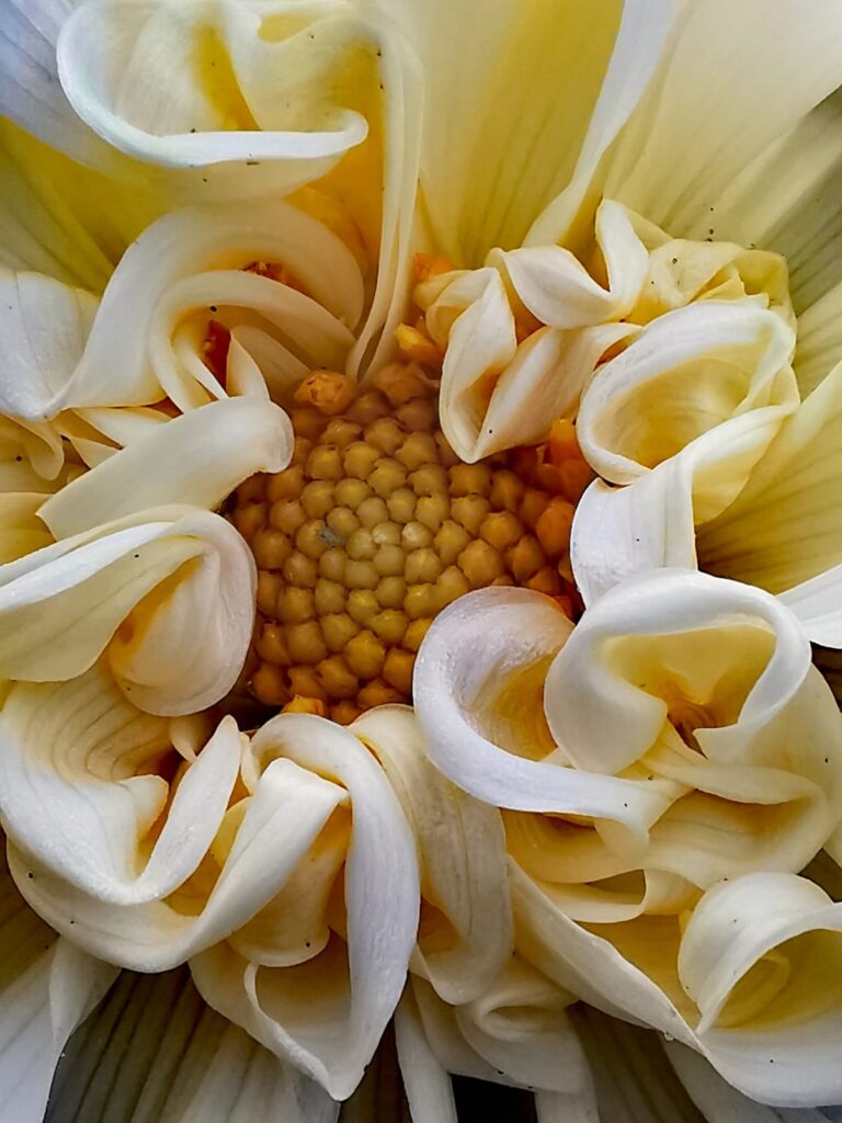 PHOTO-2023-11-07-11-42-22