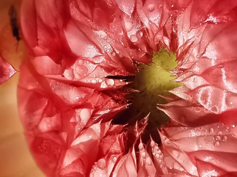 PHOTO-2023-11-07-11-45-04