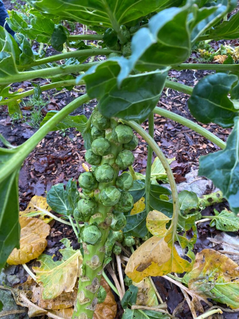 PHOTO-2024-01-06-11-15-12