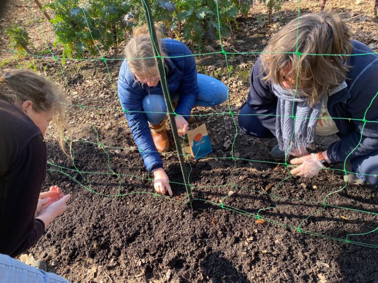 PHOTO-2024-03-02-13-30-35 2