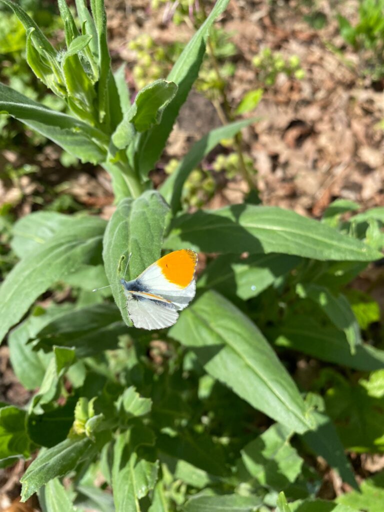 PHOTO-2024-04-10-16-30-42