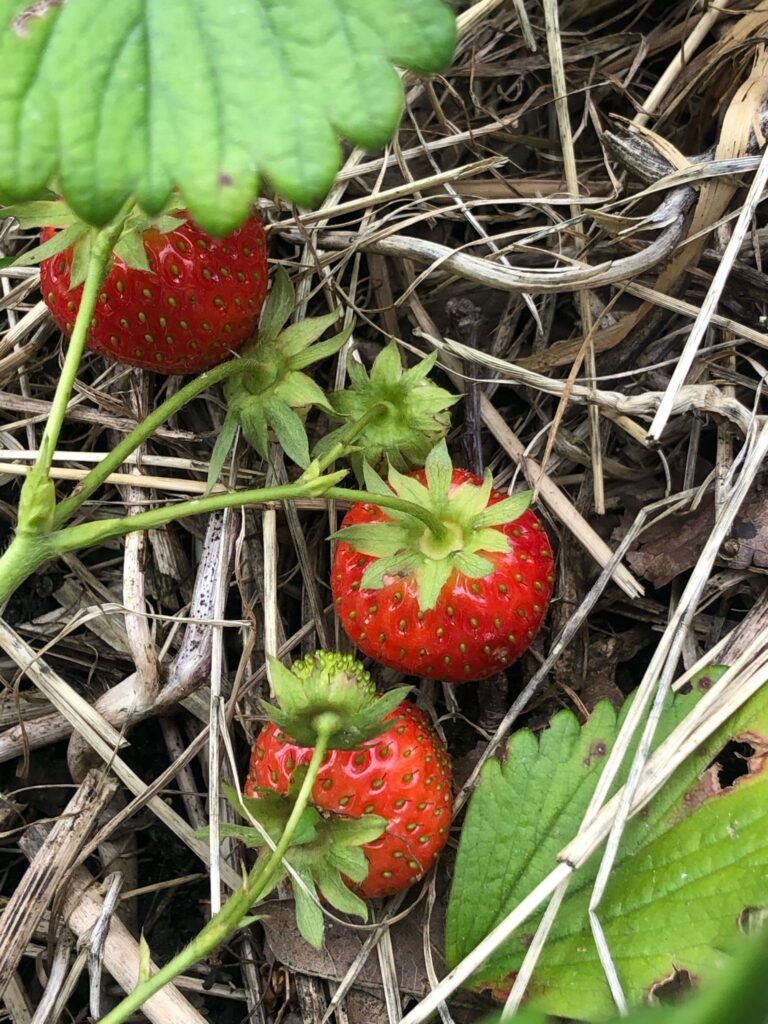 PHOTO-2024-05-27-23-37-43