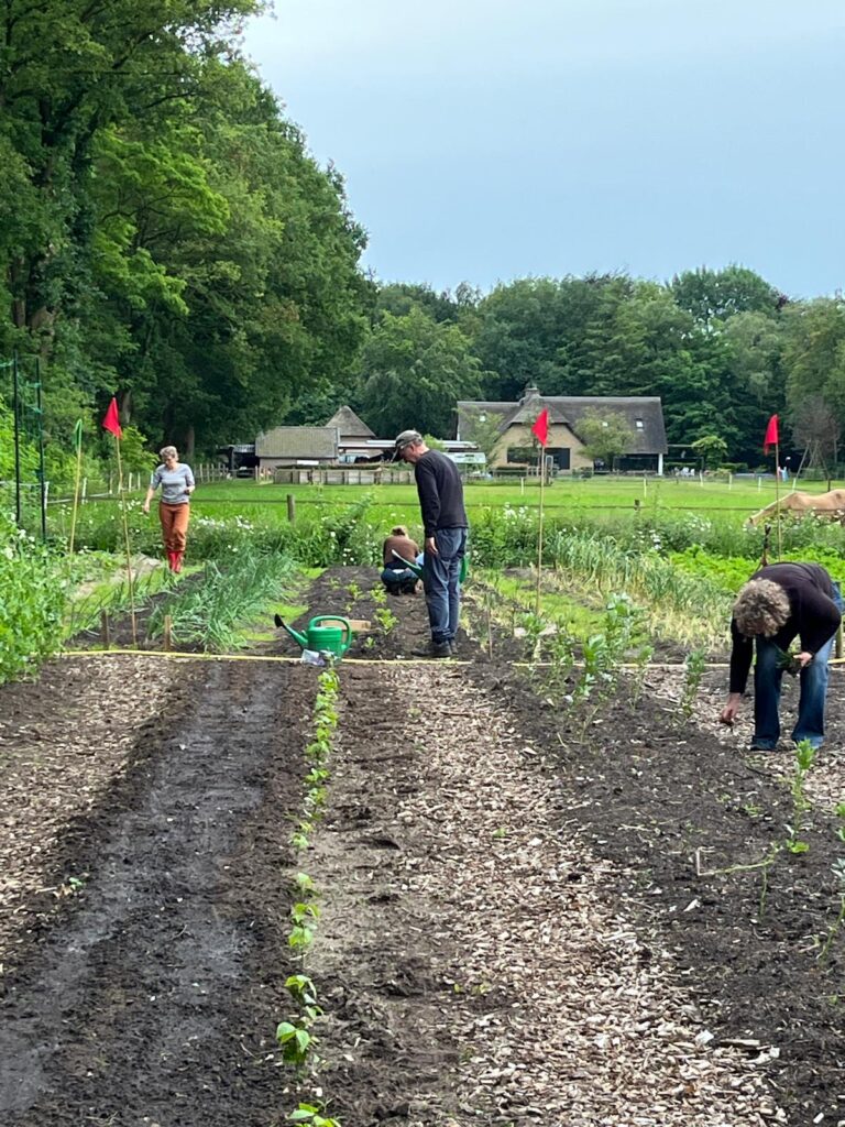 PHOTO-2024-06-13-22-46-25