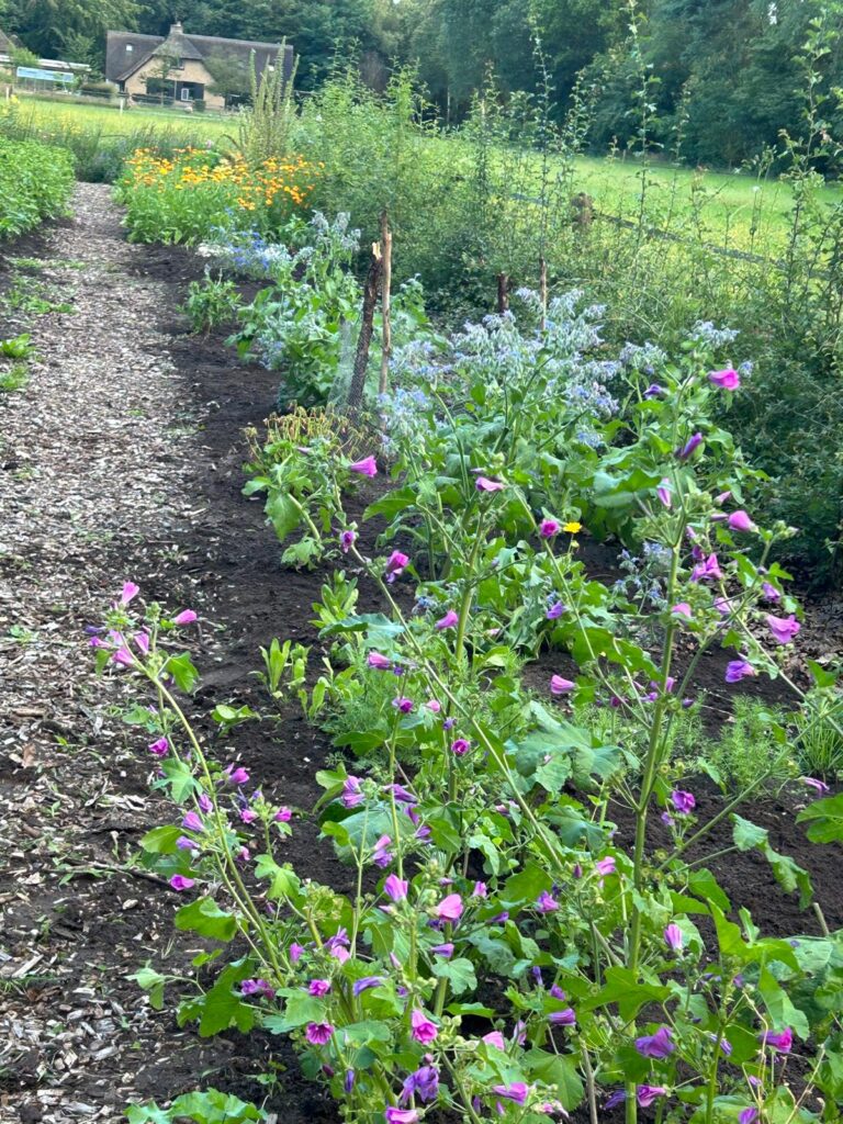 PHOTO-2024-07-04-20-38-51