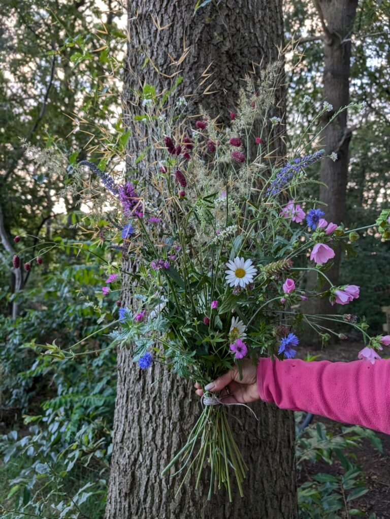 PHOTO-2024-07-04-20-39-44