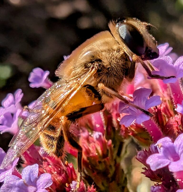 PHOTO-2024-07-04-20-43-21