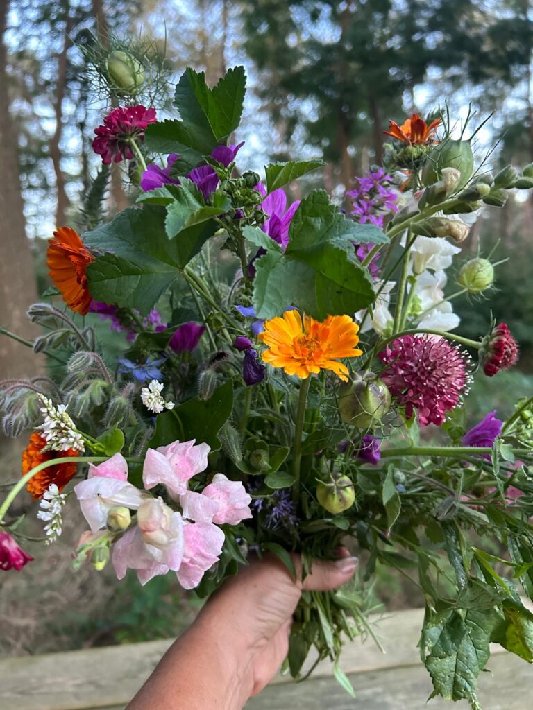 PHOTO-2024-08-15-20-53-16