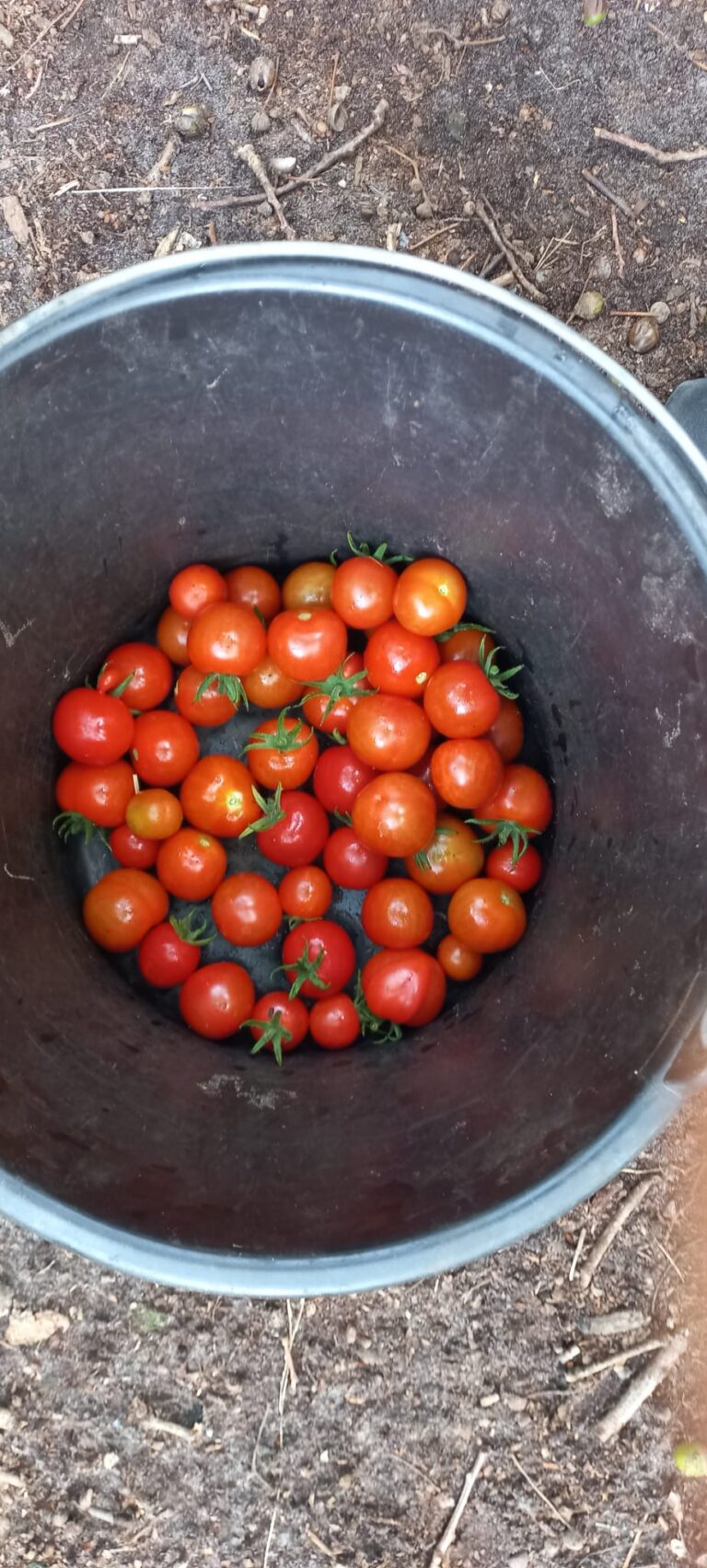 PHOTO-2024-08-20-09-48-30