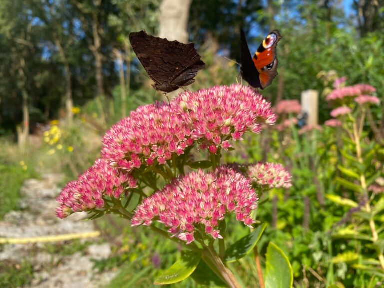 PHOTO-2024-09-17-15-22-44