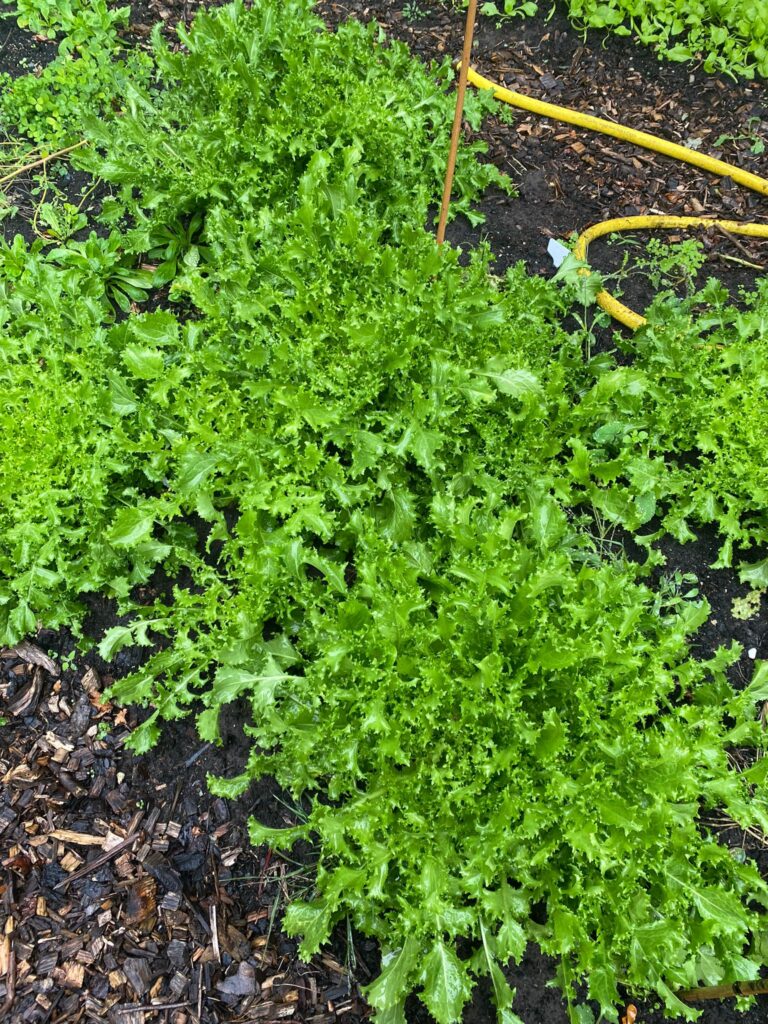 PHOTO-2024-10-01-13-06-39 2