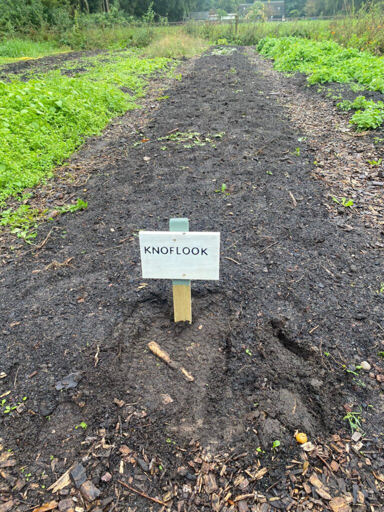 PHOTO-2024-10-05-11-11-55