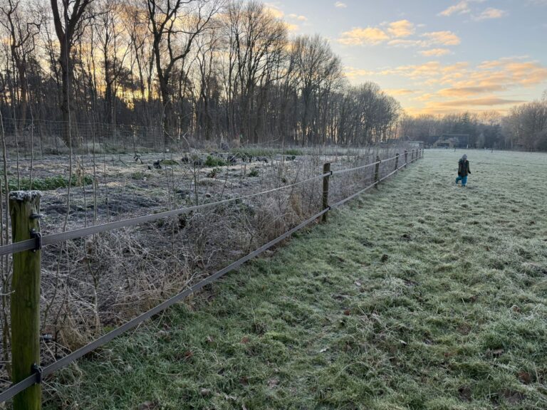 PHOTO-2025-01-11-13-22-21