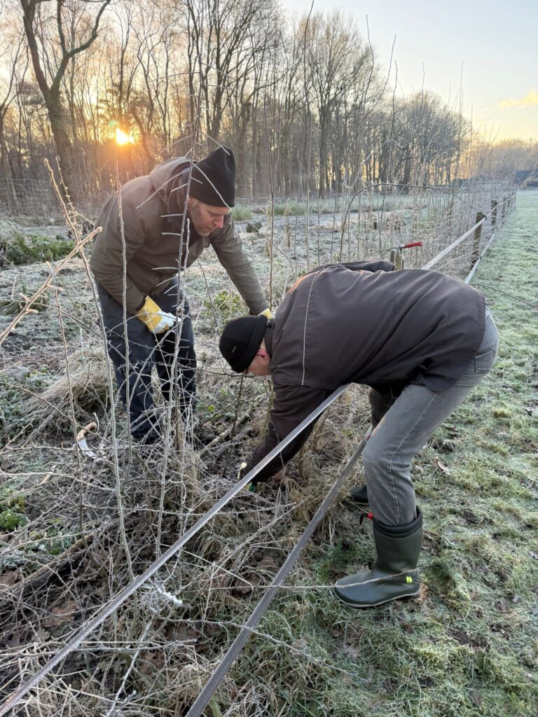 PHOTO-2025-01-11-13-22-22 2 2