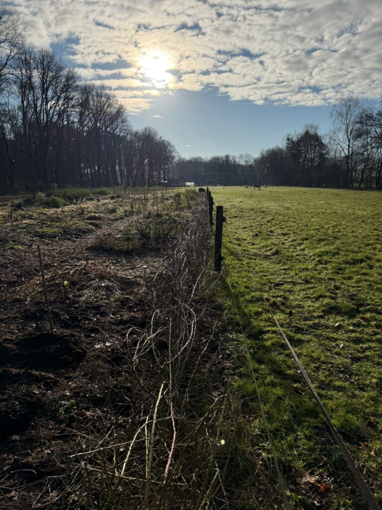 PHOTO-2025-01-11-13-23-32 3