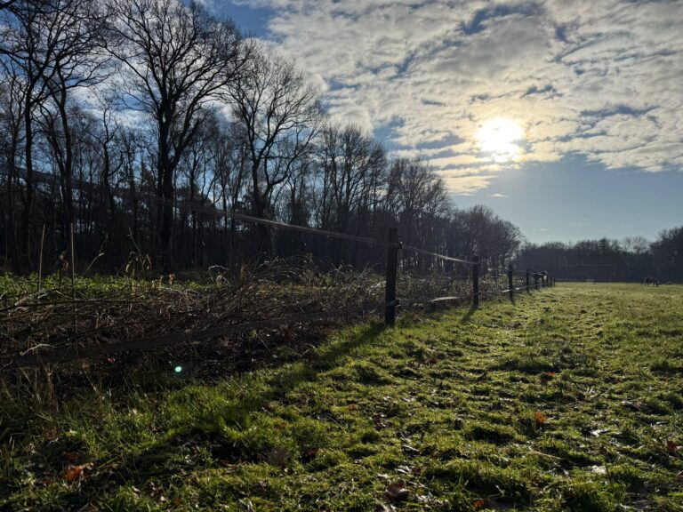 PHOTO-2025-01-11-13-23-32