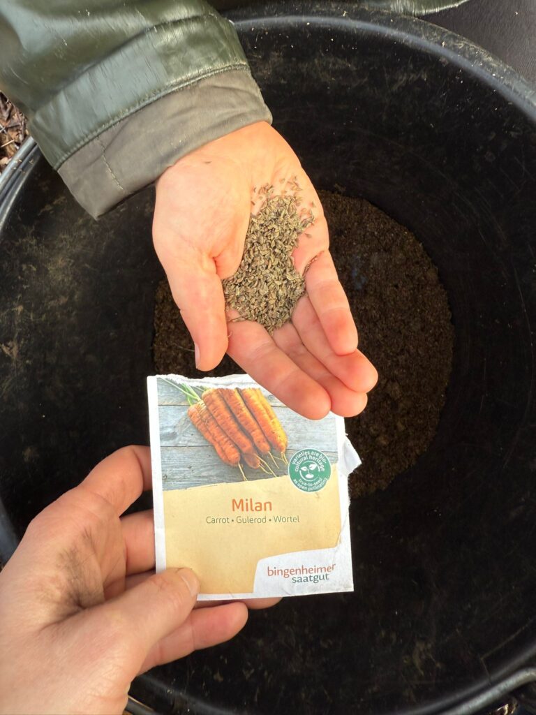 PHOTO-2025-02-25-17-20-16 (1)