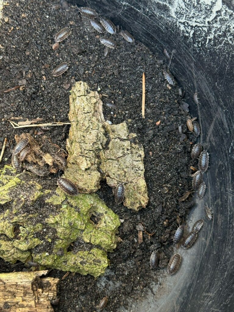 PHOTO-2025-04-19-12-34-09