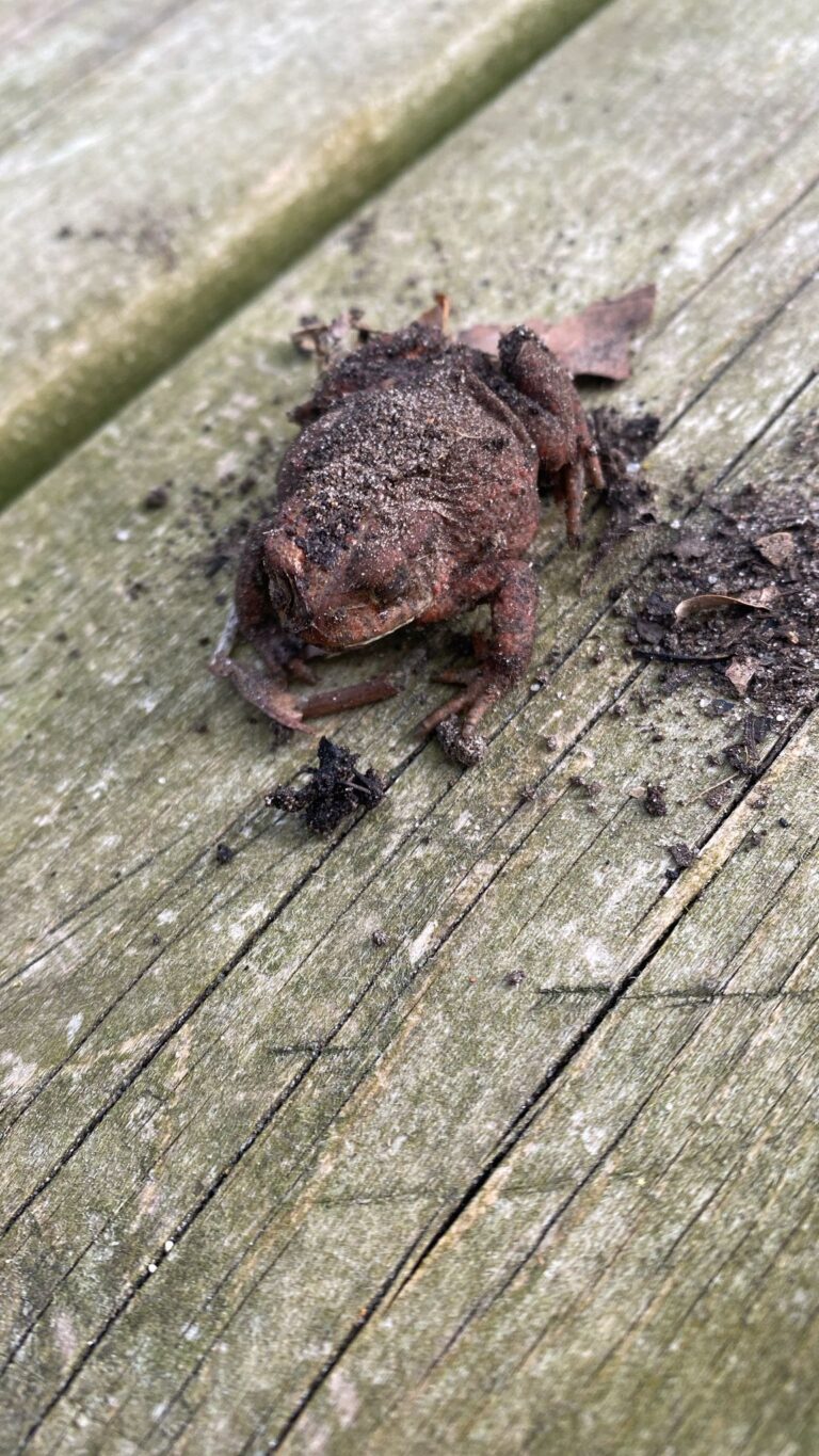 PHOTO-2025-05-01-19-00-06