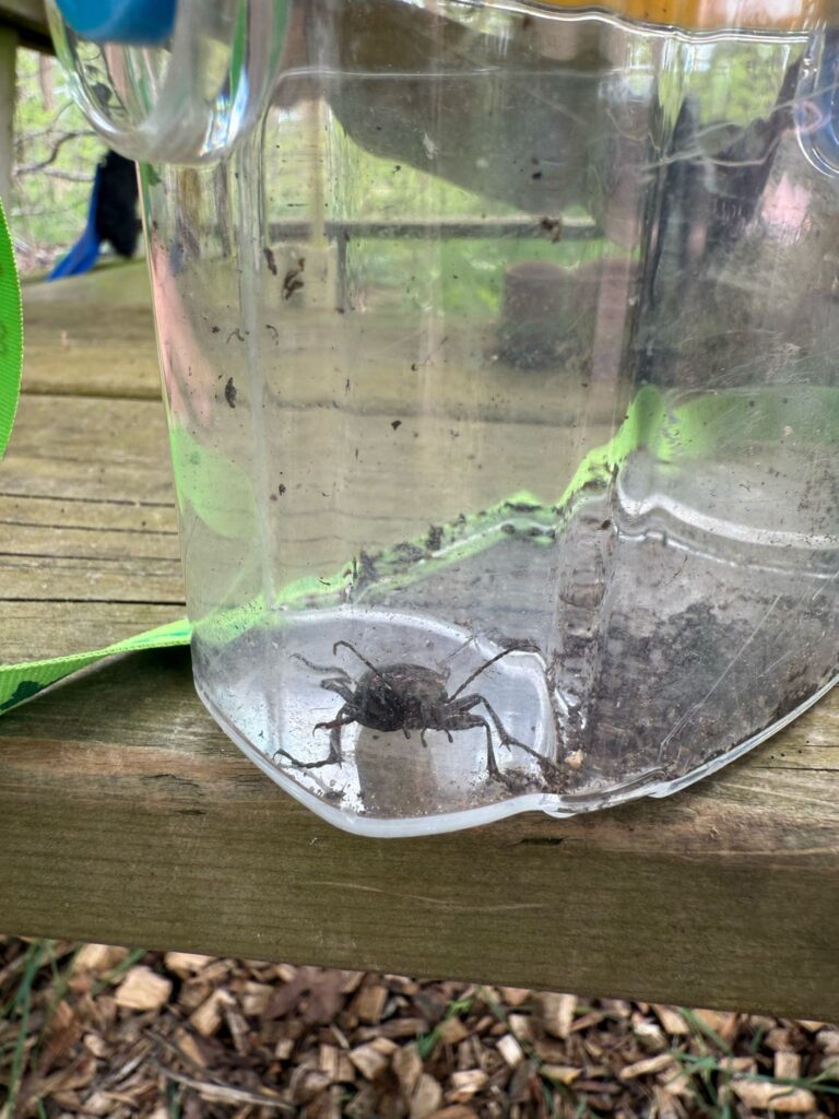 PHOTO-2025-05-02-12-32-53