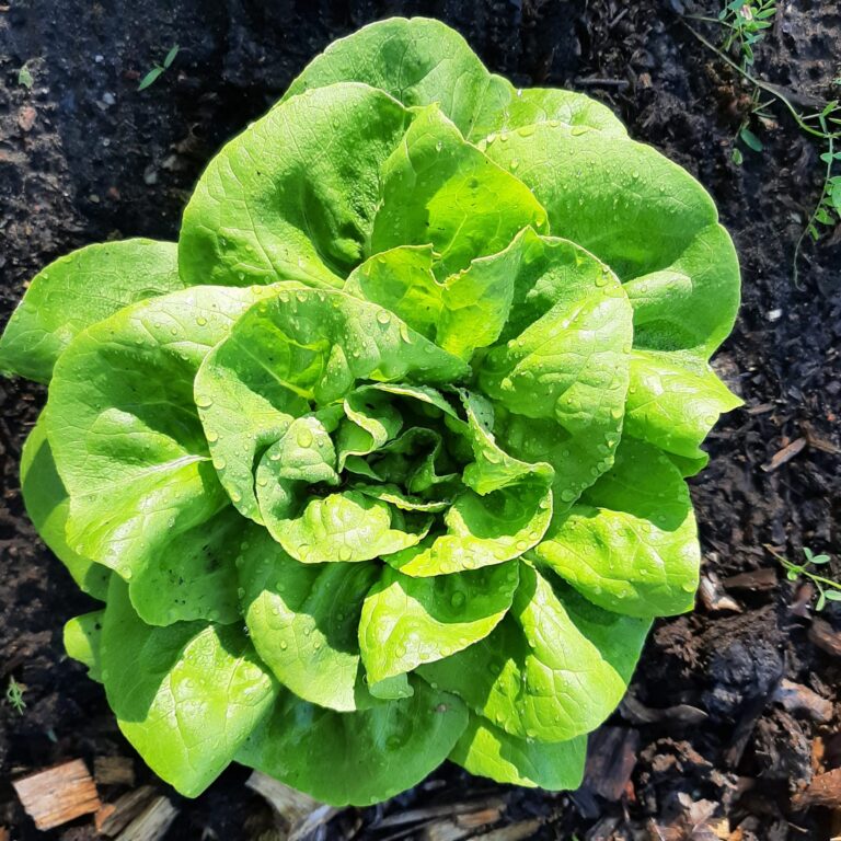 PHOTO-2025-05-09-14-43-41 2