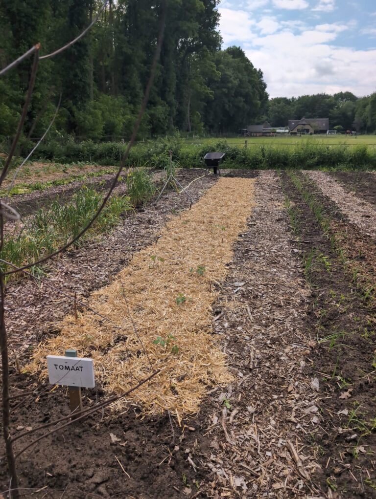 PHOTO-2025-05-30-12-15-59