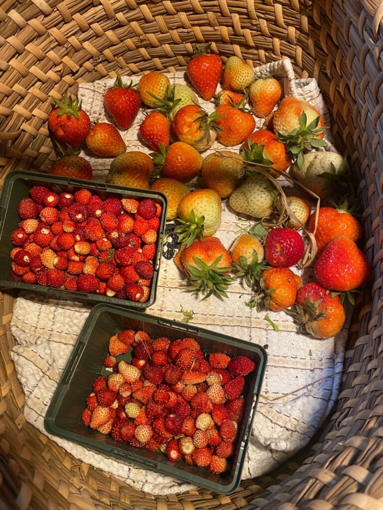 PHOTO-2025-06-02-14-23-30