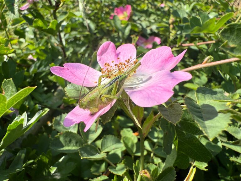 PHOTO-2025-06-02-17-23-39 (1)