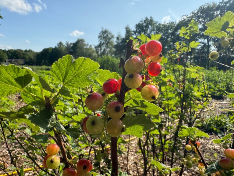 PHOTO-2025-06-02-17-23-39