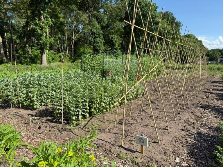 PHOTO-2025-06-02-17-23-40 (2)