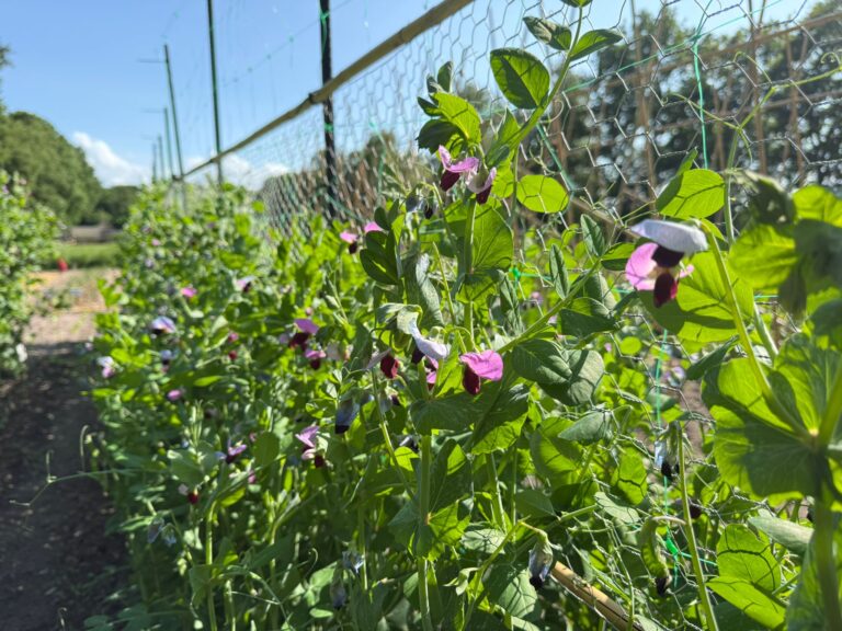 PHOTO-2025-06-02-17-23-40