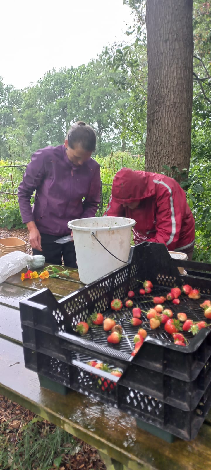 PHOTO-2025-06-07-10-24-29