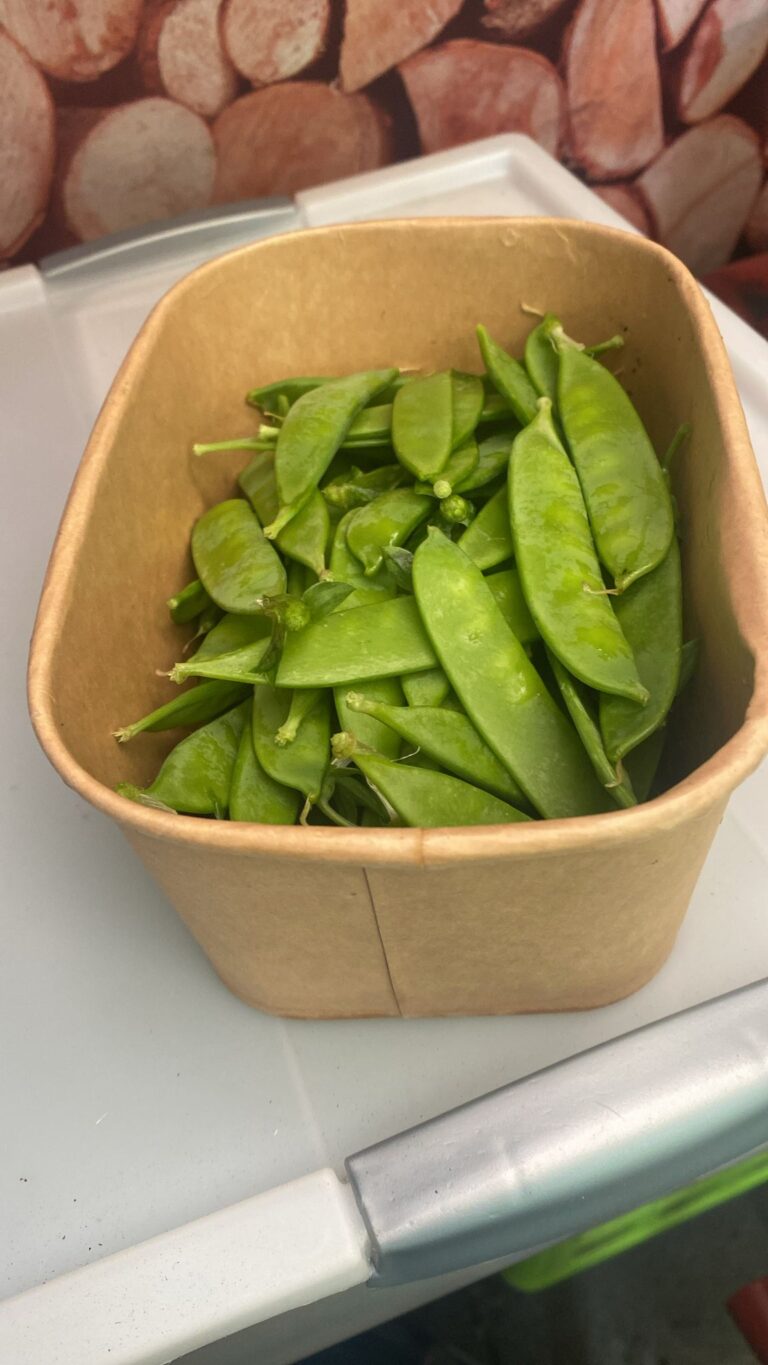 PHOTO-2025-06-07-11-53-35