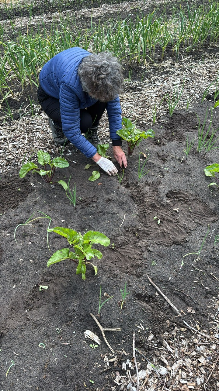 PHOTO-2025-06-09-11-07-37