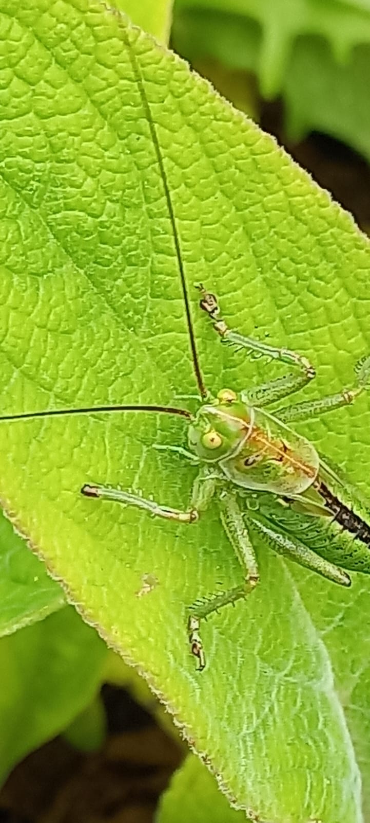 PHOTO-2025-06-11-13-01-21