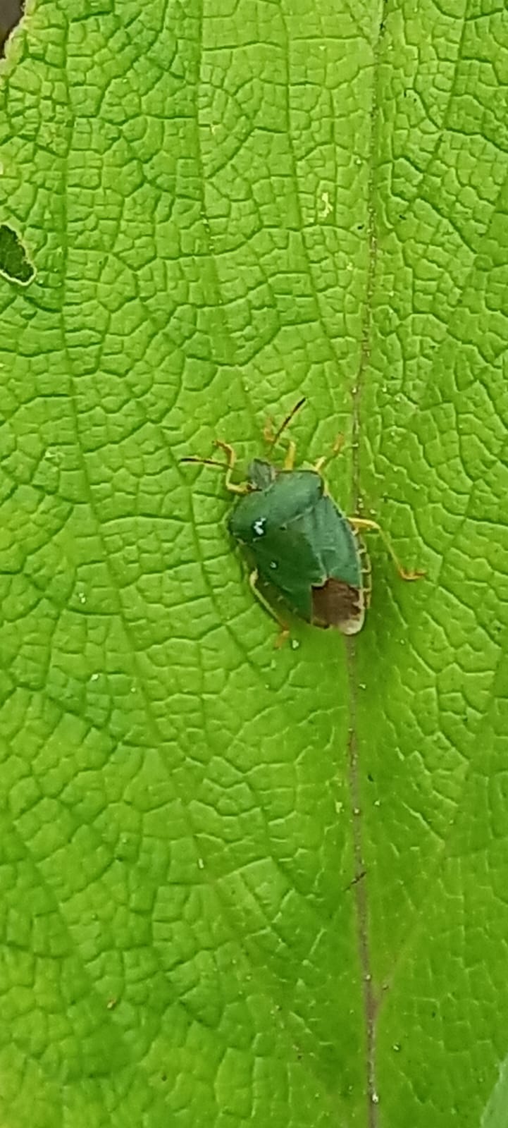 PHOTO-2025-06-11-13-01-23