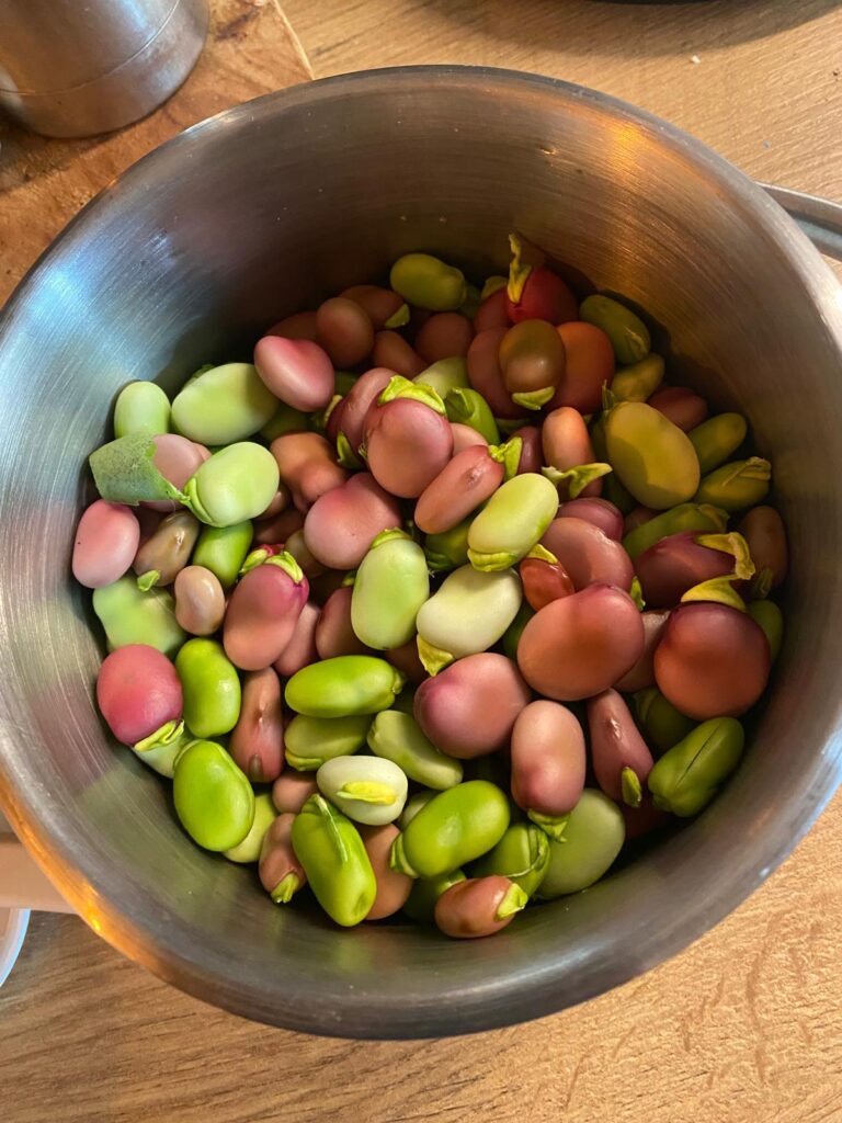 PHOTO-2025-07-01-08-15-33