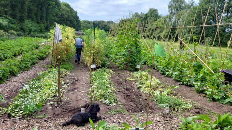 PHOTO-2025-07-05-11-05-52