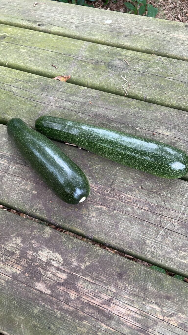 PHOTO-2025-07-14-14-34-47