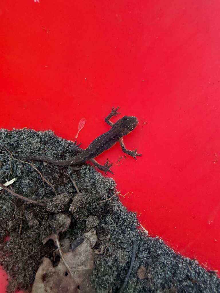 PHOTO-2025-07-19-10-25-04