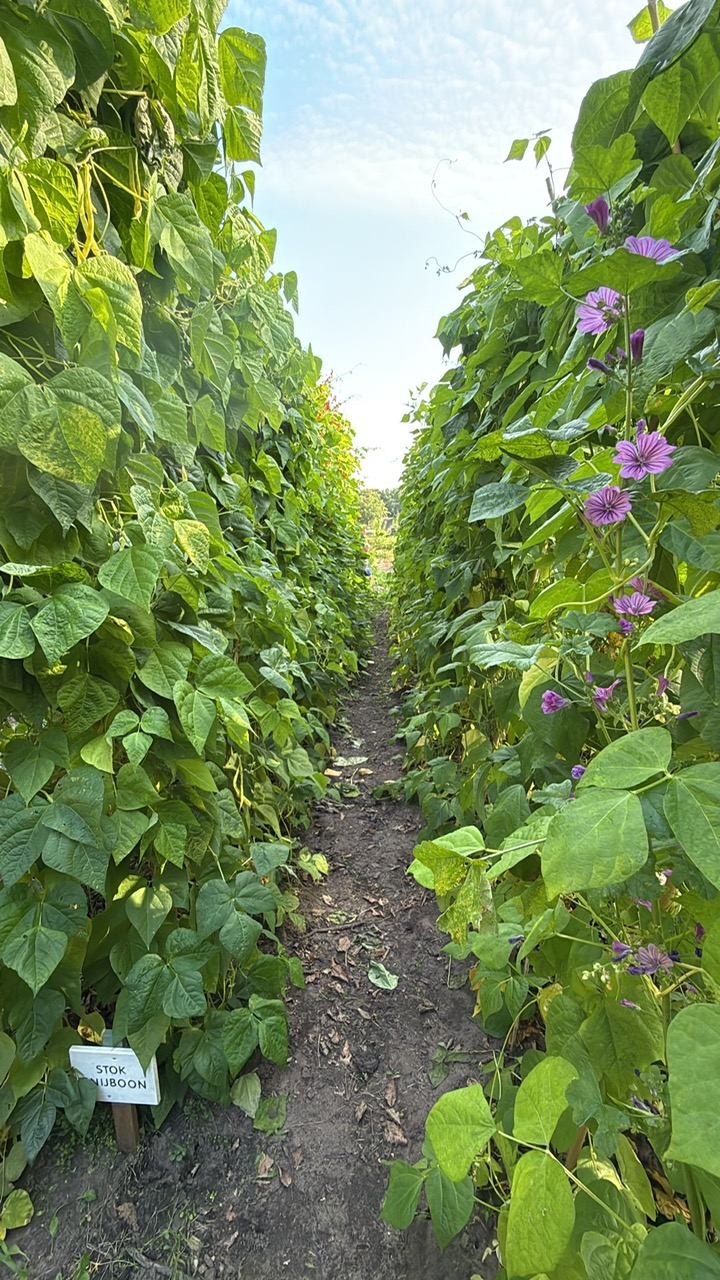 PHOTO-2025-08-09-18-23-44