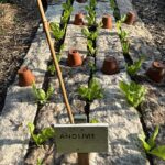 PHOTO-2025-08-09-18-24-34