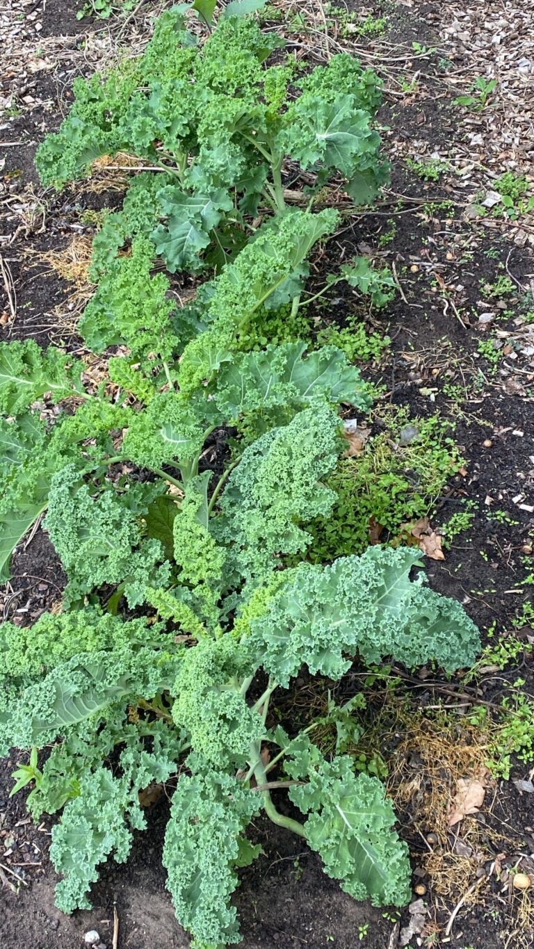 PHOTO-2025-09-12-12-01-01