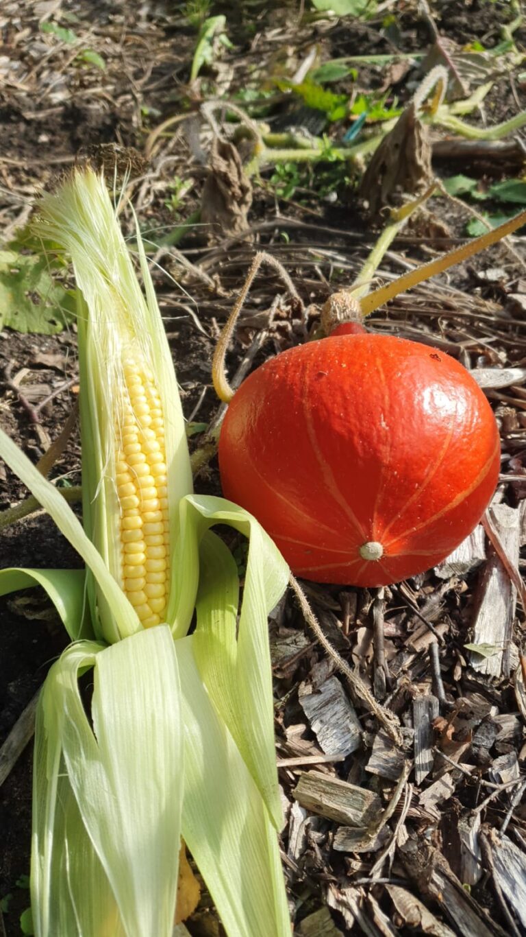 PHOTO-2025-09-26-15-44-23