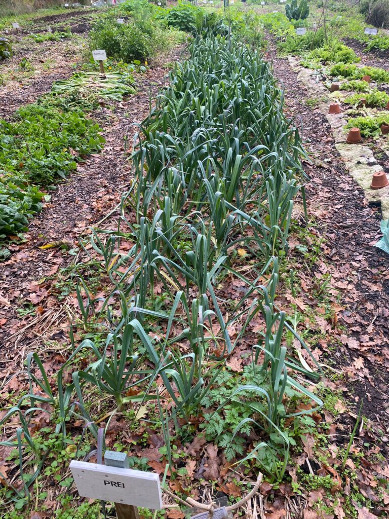 PHOTO-2025-11-03-17-21-28 2