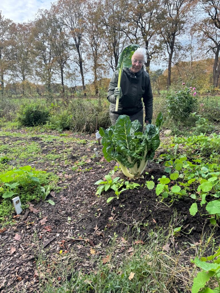 PHOTO-2025-11-03-18-03-52