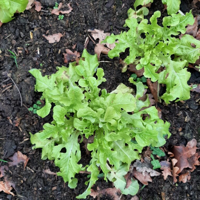 PHOTO-2025-12-23-14-34-56