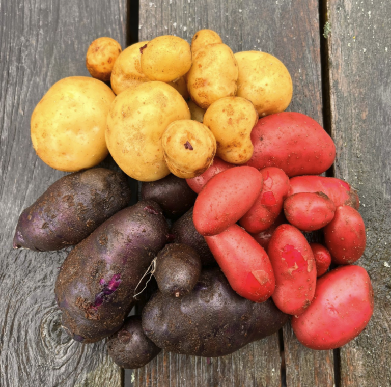 Screenshot 2026-01-21 at 12.58.09