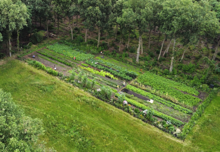 Screenshot 2026-01-21 at 12.58.32