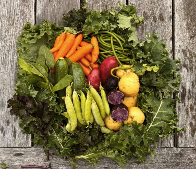 Screenshot 2026-01-21 at 12.58.43