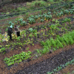 Screenshot 2026-01-21 at 12.58.56